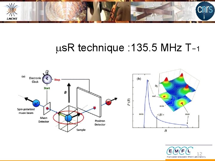 ms. R technique : 135. 5 MHz T− 1 12 