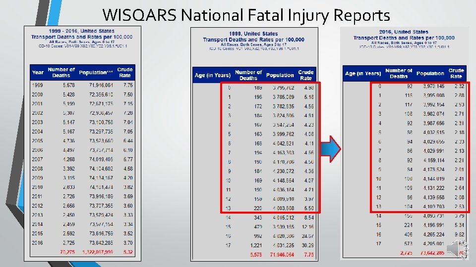 WISQARS National Fatal Injury Reports 