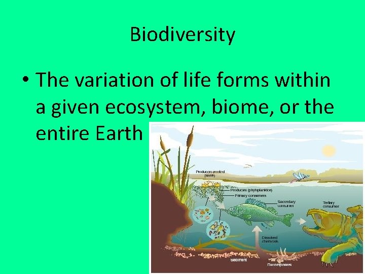 Biodiversity • The variation of life forms within a given ecosystem, biome, or the