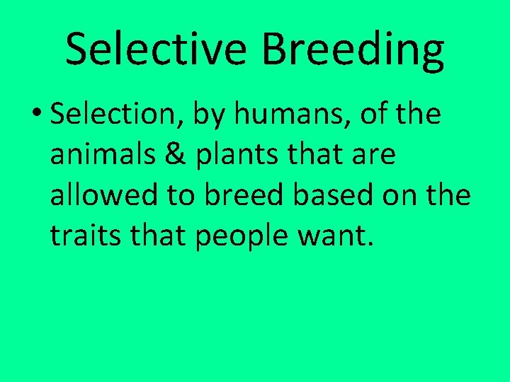 Selective Breeding • Selection, by humans, of the animals & plants that are allowed