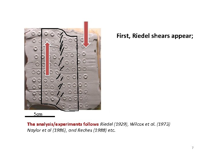 First, Riedel shears appear; 5 cm The analysis/experiments follows Riedel (1929), Wilcox et al.