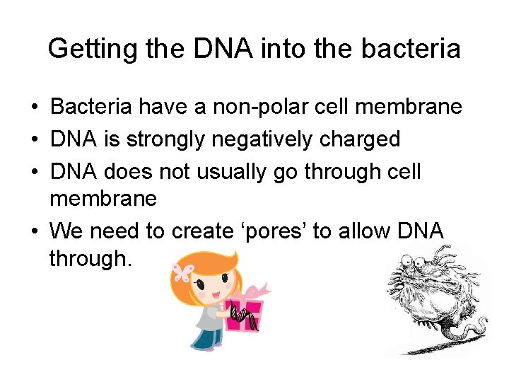 Getting the DNA into the bacteria • Bacteria have a non-polar cell membrane •
