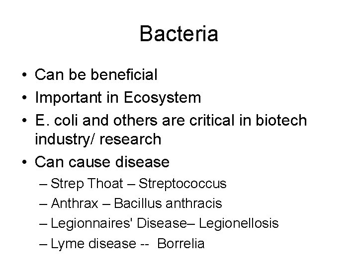Bacteria • Can be beneficial • Important in Ecosystem • E. coli and others