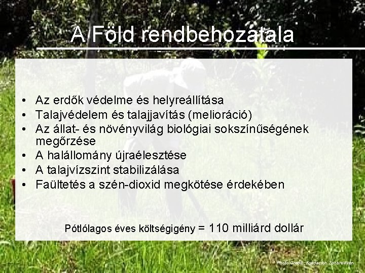 A Föld rendbehozatala • Az erdők védelme és helyreállítása • Talajvédelem és talajjavítás (melioráció)