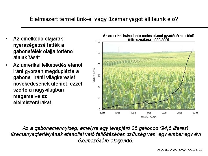Élelmiszert termeljünk-e vagy üzemanyagot állítsunk elő? • • Az emelkedő olajárak nyereségessé tették a
