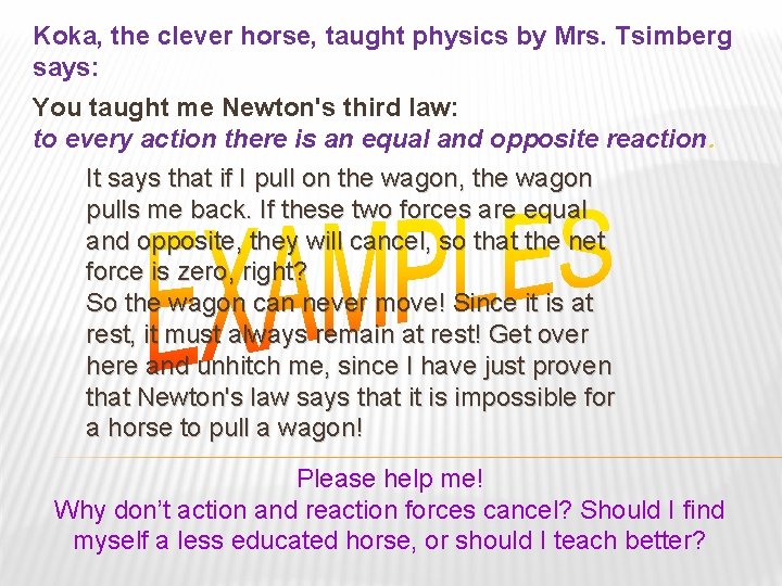 Koka, the clever horse, taught physics by Mrs. Tsimberg says: You taught me Newton's