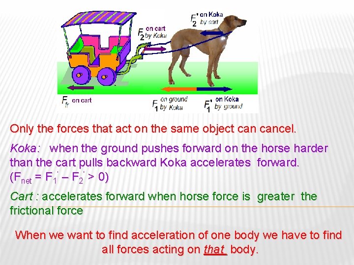 Only the forces that act on the same object cancel. Koka: when the ground