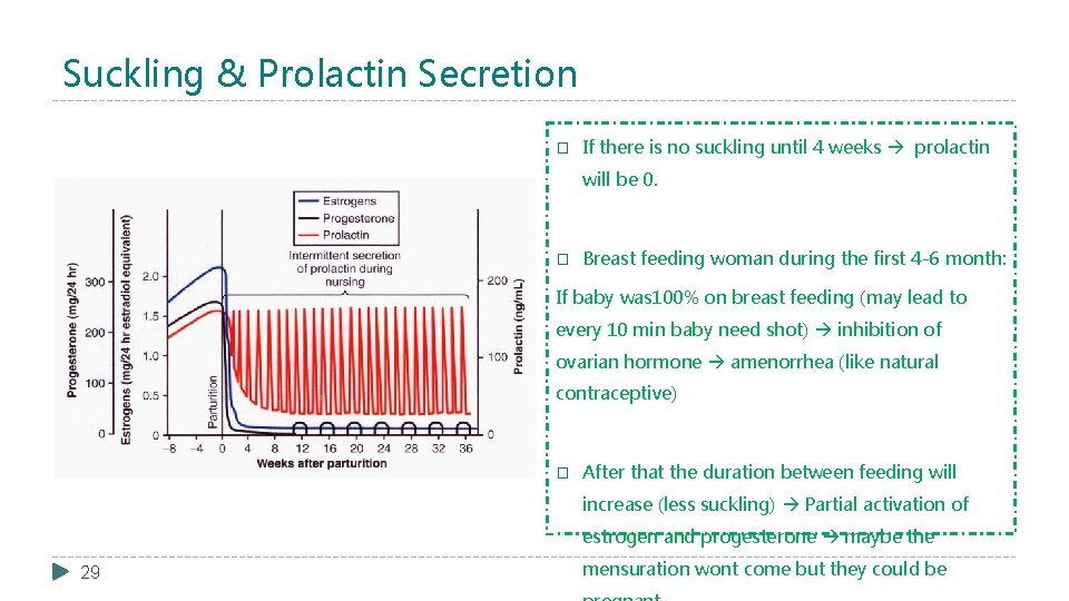 Suckling & Prolactin Secretion � If there is no suckling until 4 weeks prolactin