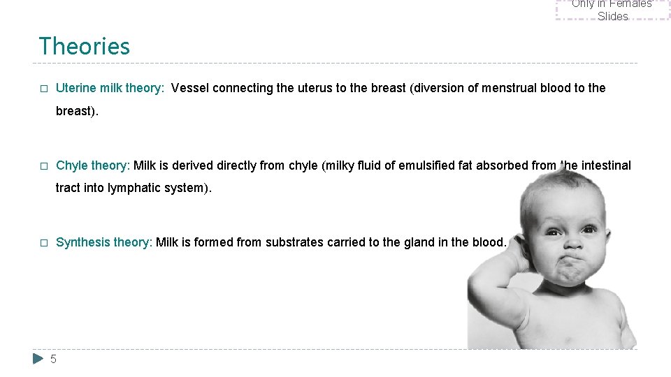 Only in Females’ Slides Theories � Uterine milk theory: Vessel connecting the uterus to