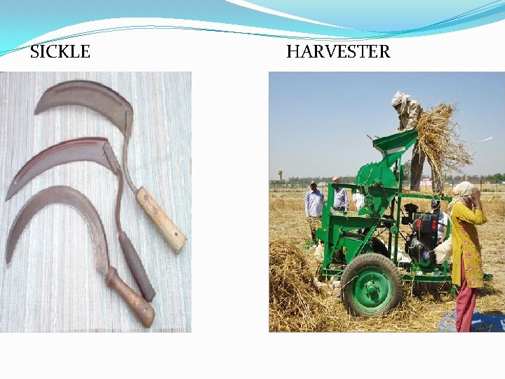 SICKLE HARVESTER 