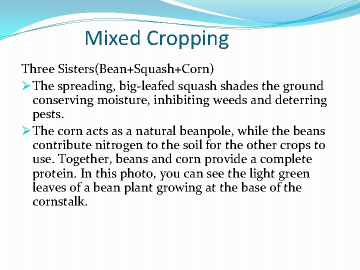 Mixed Cropping Three Sisters(Bean+Squash+Corn) Ø The spreading, big-leafed squash shades the ground conserving moisture,