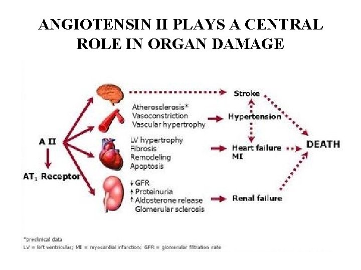 ANGIOTENSIN II PLAYS A CENTRAL ROLE IN ORGAN DAMAGE 