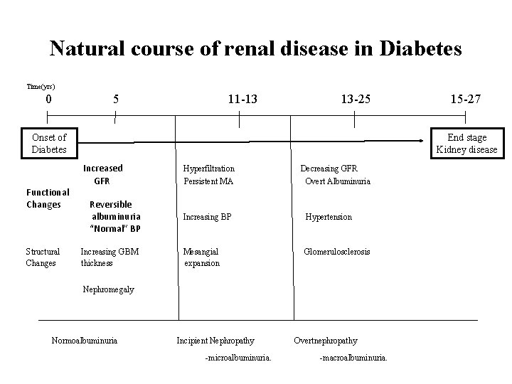 Natural course of renal disease in Diabetes Time(yrs) 0 5 11 -13 13 -25