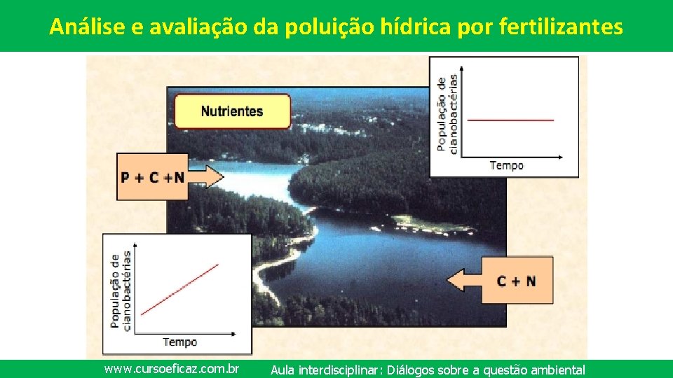 Análise e avaliação da poluição hídrica por fertilizantes www. cursoeficaz. com. br Aula interdisciplinar: