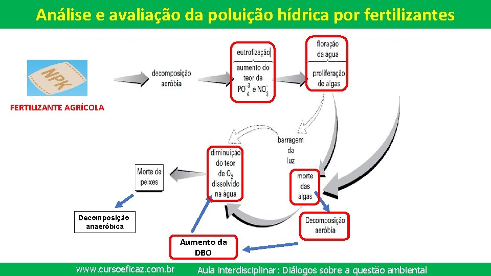 Análise e avaliação da poluição hídrica por fertilizantes Seres FERTILIZANTE AGRÍCOLA Decomposição anaeróbica Aumento