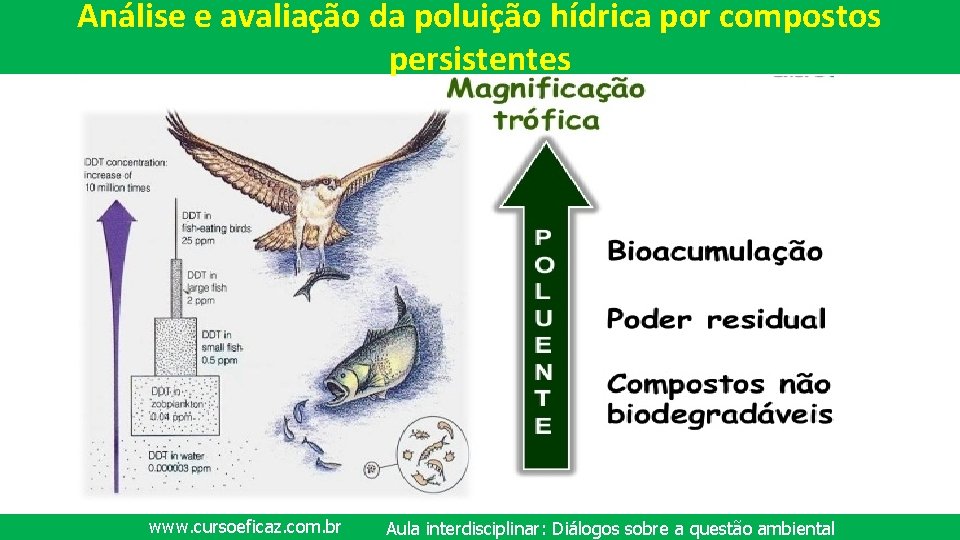 Análise e avaliação da poluição hídrica por compostos persistentes www. cursoeficaz. com. br Aula