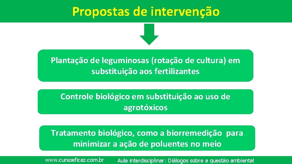 Propostas de intervenção Plantação de leguminosas (rotação de cultura) em substituição aos fertilizantes Controle