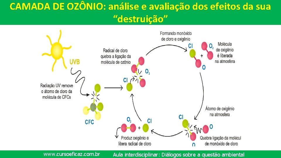 CAMADA DE OZÔNIO: análise e avaliação dos efeitos da sua “destruição” www. cursoeficaz. com.