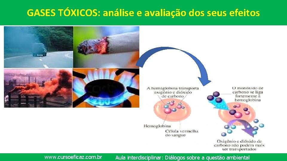 GASES TÓXICOS: análise e avaliação dos seus efeitos www. cursoeficaz. com. br Aula interdisciplinar: