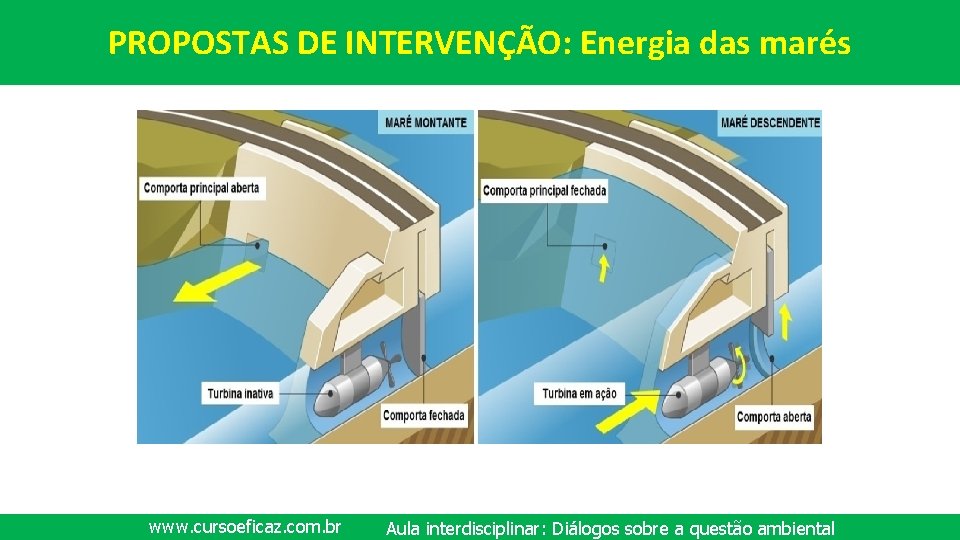 PROPOSTAS DE INTERVENÇÃO: Energia das marés www. cursoeficaz. com. br Aula interdisciplinar: Diálogos sobre