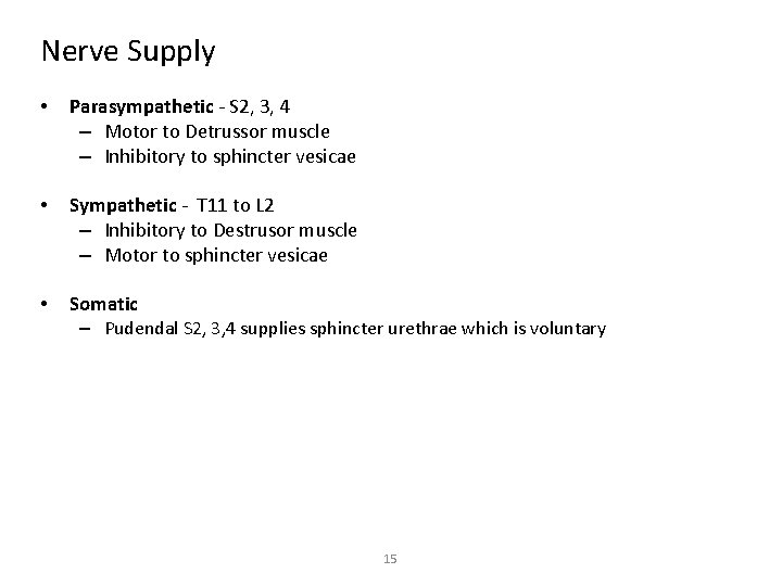 Nerve Supply • Parasympathetic - S 2, 3, 4 – Motor to Detrussor muscle