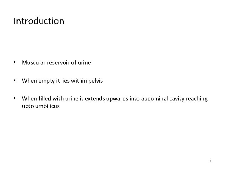 Introduction • Muscular reservoir of urine • When empty it lies within pelvis •