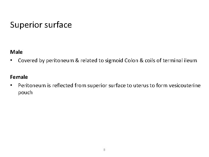 Superior surface Male • Covered by peritoneum & related to sigmoid Colon & coils