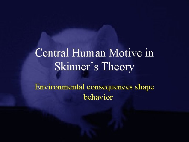 Central Human Motive in Skinner’s Theory Environmental consequences shape behavior 