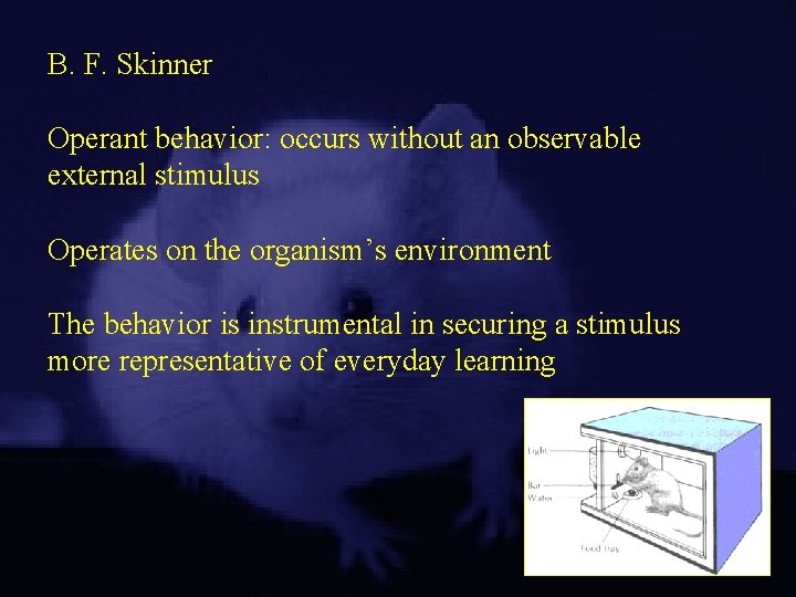 B. F. Skinner Operant behavior: occurs without an observable external stimulus Operates on the