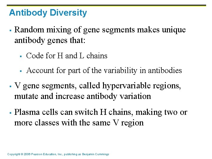 Antibody Diversity § § § Random mixing of gene segments makes unique antibody genes