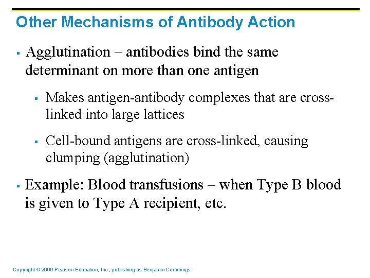 Other Mechanisms of Antibody Action § Agglutination – antibodies bind the same determinant on