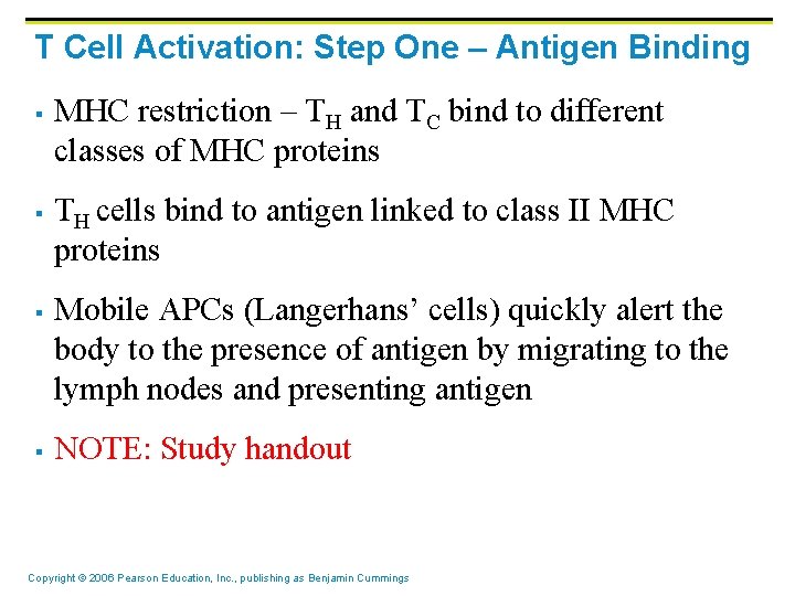 T Cell Activation: Step One – Antigen Binding § § MHC restriction – TH