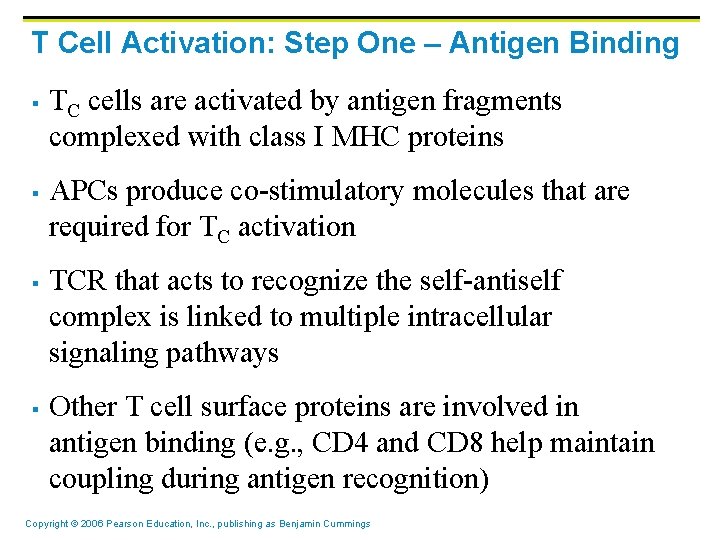T Cell Activation: Step One – Antigen Binding § § TC cells are activated