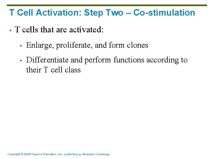 T Cell Activation: Step Two – Co-stimulation § T cells that are activated: §