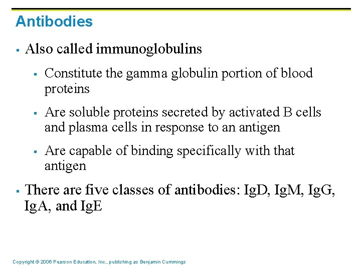Antibodies § Also called immunoglobulins § § Constitute the gamma globulin portion of blood
