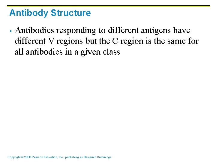 Antibody Structure § Antibodies responding to different antigens have different V regions but the
