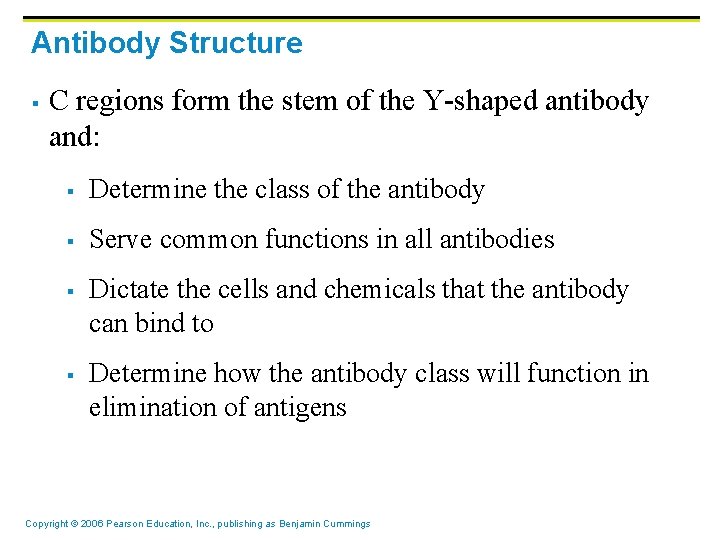 Antibody Structure § C regions form the stem of the Y-shaped antibody and: §