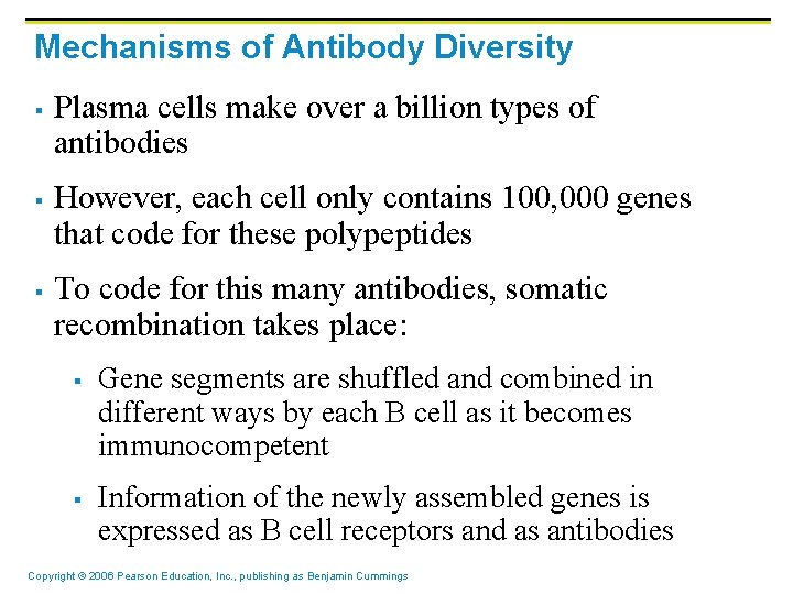 Mechanisms of Antibody Diversity § § § Plasma cells make over a billion types