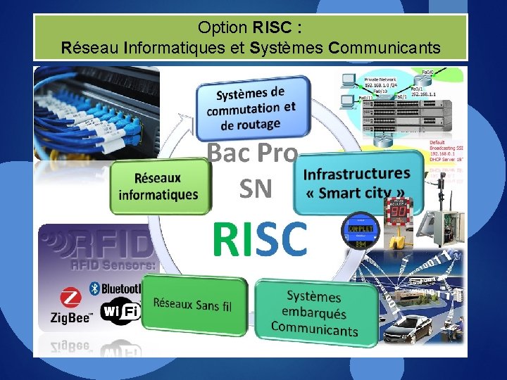 Option RISC : Réseau Informatiques et Systèmes Communicants 