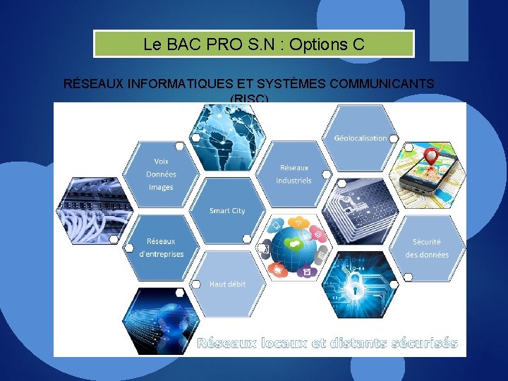 Le BAC PRO S. N : Options C RÉSEAUX INFORMATIQUES ET SYSTÈMES COMMUNICANTS (RISC)