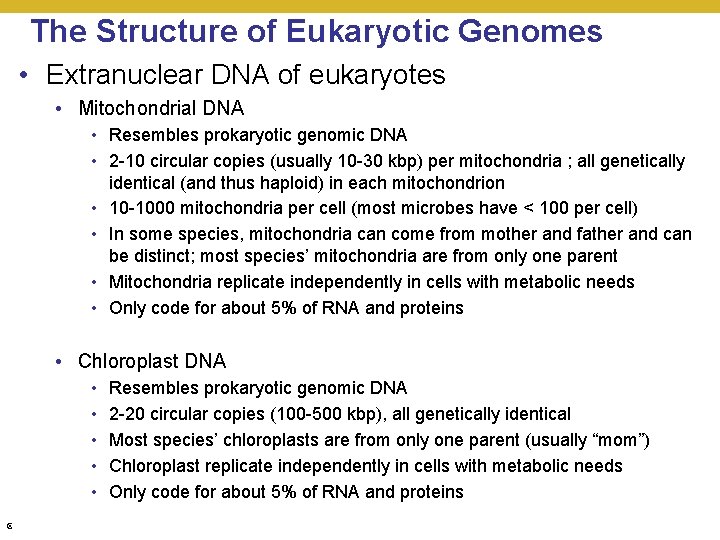 The Structure of Eukaryotic Genomes • Extranuclear DNA of eukaryotes • Mitochondrial DNA •