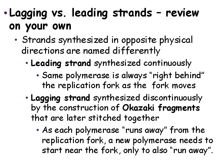 The Structure and Replication of Genomes • Lagging vs. leading strands – review on