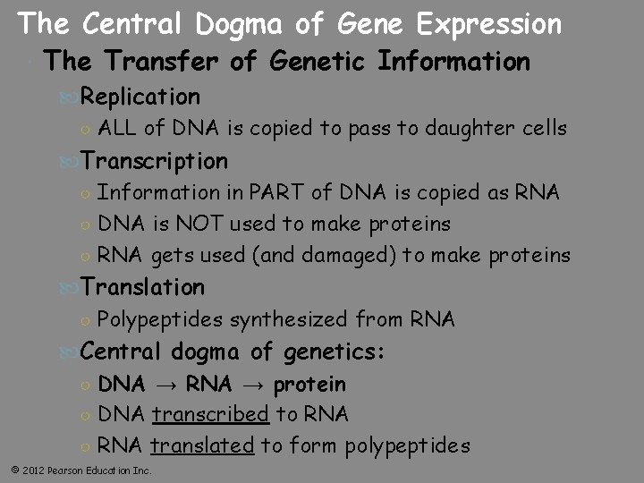 The Central Dogma of Gene Expression The Transfer of Genetic Information Replication ○ ALL