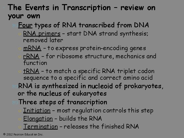  The Events in Transcription – review on your own Four types of RNA