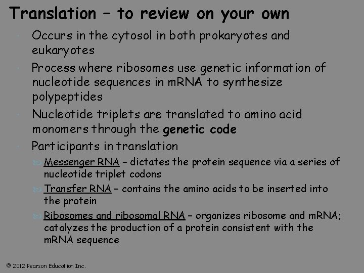 Translation – to review on your own Occurs in the cytosol in both prokaryotes