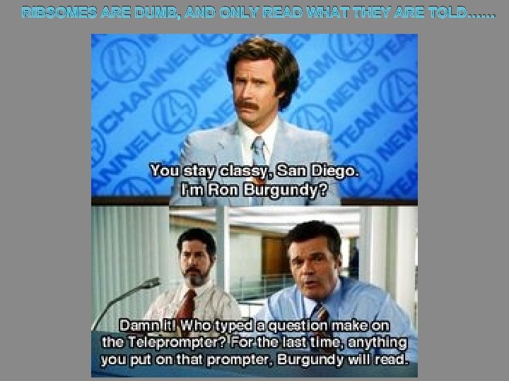 RIBSOMES ARE DUMB, AND ONLY READ WHAT THEY ARE TOLD…… 