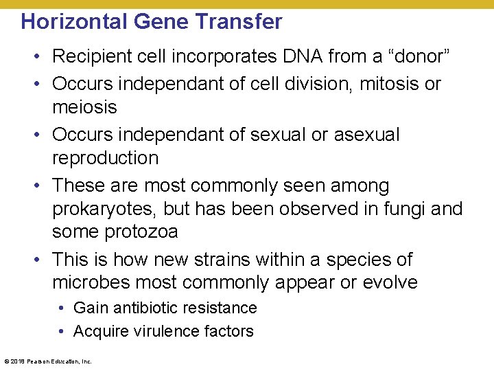 Horizontal Gene Transfer • Recipient cell incorporates DNA from a “donor” • Occurs independant