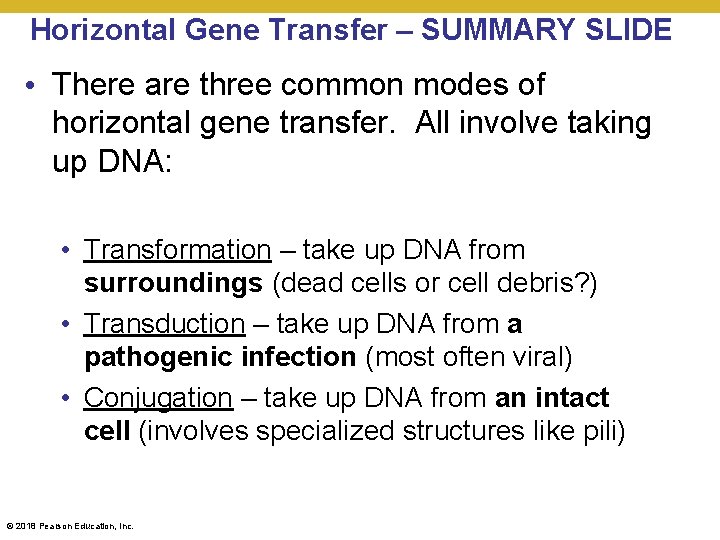 Horizontal Gene Transfer – SUMMARY SLIDE • There are three common modes of horizontal