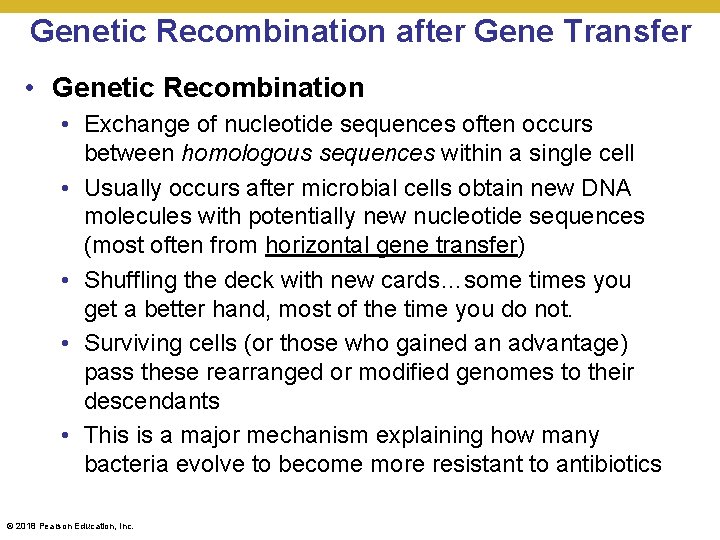 Genetic Recombination after Gene Transfer • Genetic Recombination • Exchange of nucleotide sequences often