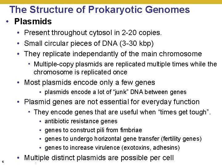 The Structure of Prokaryotic Genomes • Plasmids • Present throughout cytosol in 2 -20